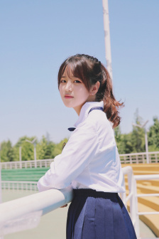 又见女王蜂